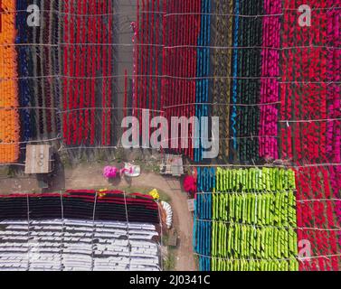 Narayanganj, Dhaka, Bangladesh. 16th mars 2022. Les travailleurs pendent des milliers de différents tissus colorés sur des fils de fer attachés entre un cadre en bambou et les tournent constamment pour qu'ils sèchent parfaitement dans les champs inondés de Narayanganj, au Bangladesh. Des fils de fer sont utilisés entre un cadre de bambou pour créer des lignes de lavage géantes pour la dernière partie du processus de mort que les tissus sont séchés au soleil. Des brins de tissus colorés bleus, roses, orange et verts sont suspendus au-dessus du champ herbacé dans un réseau éblouissant de couleurs entrelacés. C'est la dernière partie du processus de mourir après laquelle le tissu est Banque D'Images