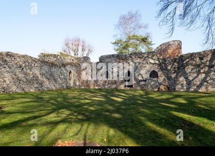 Ruines d'un petit prieuré Augustinien fondé en 1216, Prieuré de St Olaves, Norfolk, Angleterre, Royaume-Uni Banque D'Images