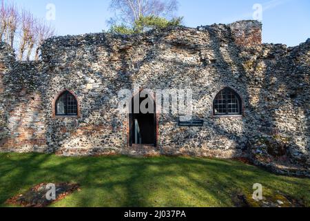 Ruines d'un petit prieuré Augustinien fondé en 1216, Prieuré de St Olaves, Norfolk, Angleterre, Royaume-Uni Banque D'Images