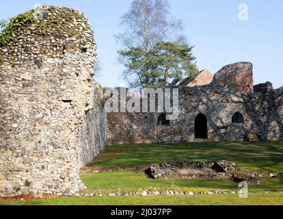 Ruines d'un petit prieuré Augustinien fondé en 1216, Prieuré de St Olaves, Norfolk, Angleterre, Royaume-Uni Banque D'Images
