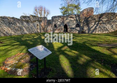 Ruines d'un petit prieuré Augustinien fondé en 1216, Prieuré de St Olaves, Norfolk, Angleterre, Royaume-Uni Banque D'Images