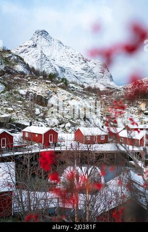 Cabanes de rorbu rouge encadrées par des montagnes enneigées en hiver, Nusfjord, comté de Nordland, îles Lofoten, Norvège, Scandinavie, Europe Banque D'Images