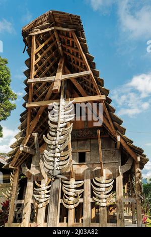 Le Papa Batu, 700 ans, la seule maison en pierre de Tongkonan à Toraja, au sud-ouest de Rantepao, Tummake, Toraja, Sulawesi Sud, Indonésie Banque D'Images