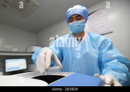 GUIYANG, CHINE - 15 MARS 2022 - Un membre du personnel démontre qu'il utilise un instrument PCR pour effectuer l'amplification des acides nucléiques au premier nucléique mobile Banque D'Images