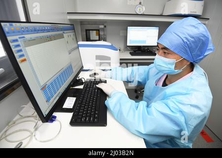 GUIYANG, CHINE - 15 MARS 2022 - Un membre du personnel démontre l'analyse et l'examen des résultats par un système PCR fluorescent au premier nucléique mobile Banque D'Images