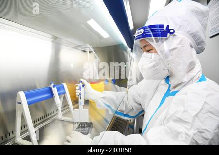 GUIYANG, CHINE - le 15 MARS 2022 - Un membre du personnel démontre l'ajout d'un modèle d'acide nucléique extrait lors du premier essai d'acide nucléique mobile Banque D'Images