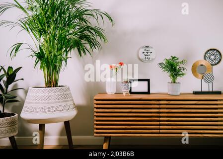 Intérieur scandinave avec accessoires décoratifs sur une armoire en bois. Design minimaliste dans l'intérieur de la chambre avec des plantes vertes et blanc Banque D'Images