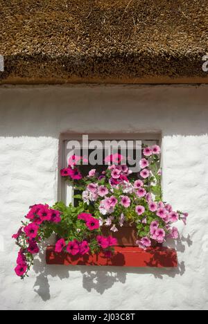 Kilmahrenan thatched Cottages, Comté de Donegal, Irlande Banque D'Images