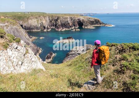 La côte du Pembrokeshire sur le sentier côtier près de Porthclais, pays de Galles, Royaume-Uni Banque D'Images