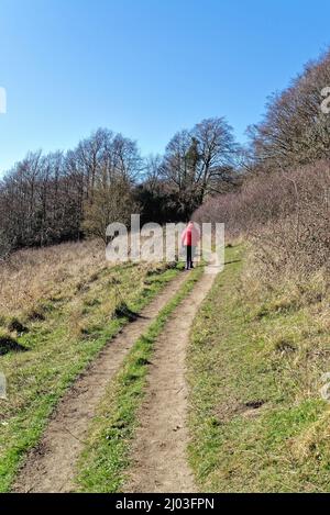 Une femme mûre qui marche dans une veste rouge sur North Downs Way lors d'une journée hivernale ensoleillée à Ranmore Common Dorking Surrey, Angleterre, Royaume-Uni Banque D'Images