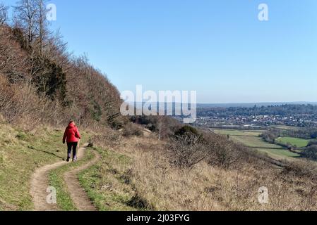 Une femme mûre qui marche dans une veste rouge sur North Downs Way lors d'une journée hivernale ensoleillée à Ranmore Common Dorking Surrey, Angleterre, Royaume-Uni Banque D'Images