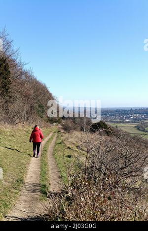 Une femme mûre qui marche dans une veste rouge sur North Downs Way lors d'une journée hivernale ensoleillée à Ranmore Common Dorking Surrey, Angleterre, Royaume-Uni Banque D'Images