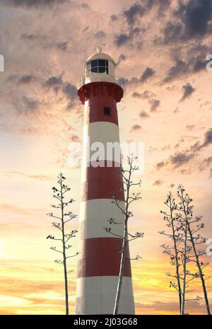 L'emblématique structure de sécurité maritime rouge et blanc de Geraldton, en Australie occidentale, connue sous le nom de Port Moore Lighthouse avec des tiges en sisal au premier plan. Banque D'Images