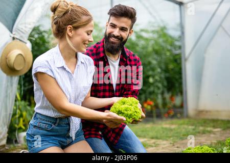 Un jeune couple heureux travaillant en serre, cultivent des aliments biologiques. Concept de santé bio-alimentaire des gens Banque D'Images