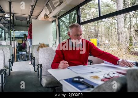 HILVARENBEEK - Stemmen in een safaribus bij Safaripark Beekse Bergen. In ruil voor hun stempas kregen stemmers een gratis toegangskaart en een uitrijkaart. ANP ROB ENGELAR Banque D'Images