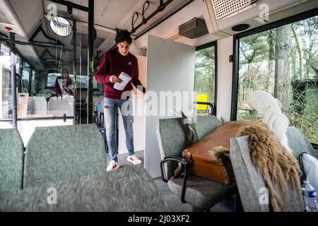 HILVARENBEEK - Stemmen in een safaribus bij Safaripark Beekse Bergen. In ruil voor hun stempas kregen stemmers een gratis toegangskaart en een uitrijkaart. ANP ROB ENGELAR Banque D'Images