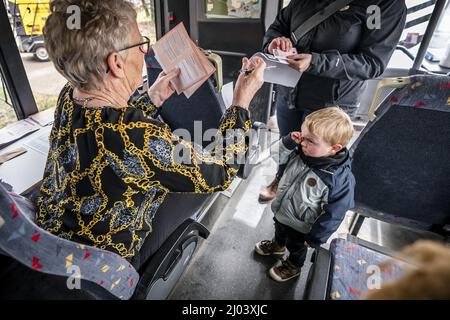 HILVARENBEEK - Stemmen in een safaribus bij Safaripark Beekse Bergen. In ruil voor hun stempas kregen stemmers een gratis toegangskaart en een uitrijkaart. ANP ROB ENGELAR Banque D'Images