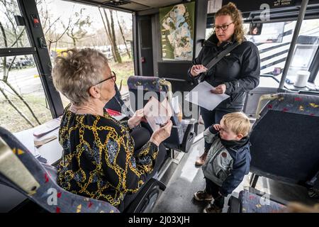 HILVARENBEEK - Stemmen in een safaribus bij Safaripark Beekse Bergen. In ruil voor hun stempas kregen stemmers een gratis toegangskaart en een uitrijkaart. ANP ROB ENGELAR Banque D'Images