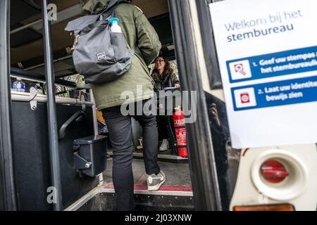 HILVARENBEEK - Stemmen in een safaribus bij Safaripark Beekse Bergen. In ruil voor hun stempas kregen stemmers een gratis toegangskaart en een uitrijkaart. ANP ROB ENGELAR Banque D'Images