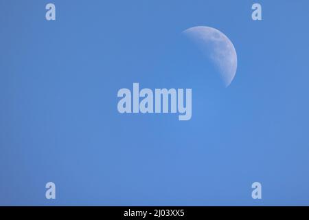 Demi-lune ou lune en déclin avec ciel bleu. La lune majestueuse, ciel clair. Photo de haute qualité Banque D'Images