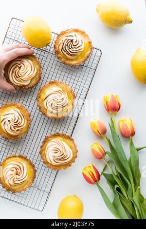 Prendre à la main une tartelette de meringue au citron dans un rack recouvert d'autres tartelettes. Banque D'Images