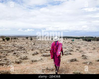 Homme de Lone Masai qui marche à travers les plaines. Maji moto Eco Camp et Maasai le Maasai est un groupe ethnique nilotique qui habite le Kenya Banque D'Images