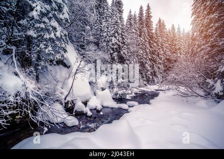 Miracle rivière à la lumière du soleil le matin. Scène viticole spectaculaire et pittoresque. Lieu Carpathian, Ukraine, Europe. Le monde de la beauté. Génération de tonalités Instagram Banque D'Images