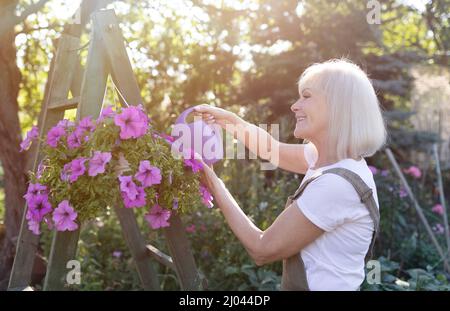 Bonne dame senior arroser des fleurs dans des pots suspendus, appréciant le jardinage dans son propre jardin d'été Banque D'Images