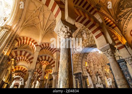 Maurische Säulen und Bögen im Innenraum der Mezquita - Catedral de Córdoba à Cordoue, Andalusien, Espagnol | arches et colonnes mauresques de la Mezqu Banque D'Images