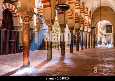 Maurische Säulen und Bögen im Innenraum der Mezquita - Catedral de Córdoba à Cordoue, Andalusien, Espagnol | arches et colonnes mauresques de la Mezqu Banque D'Images