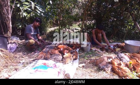 Homme indien coupant de la viande de poulet pendant le mariage pour la nourriture. Banque D'Images