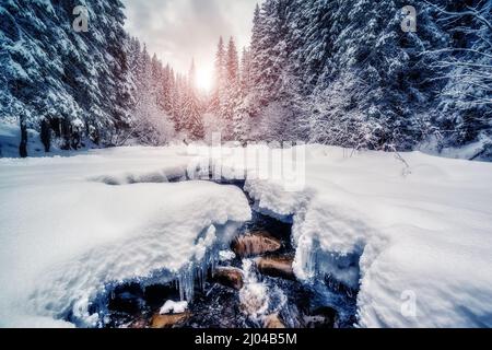 Miracle rivière à la lumière du soleil le matin. Scène viticole spectaculaire et pittoresque. Lieu Carpathian, Ukraine, Europe. Le monde de la beauté. Génération de tonalités Instagram Banque D'Images