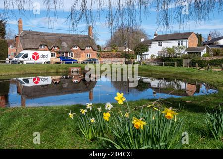 Centre du village d'Oakley avec des jonquilles au bord de l'étang à canards au printemps, Hampshire, Angleterre, Royaume-Uni, et une camionnette de livraison de colis DPD Banque D'Images