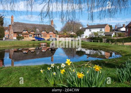 Centre du village d'Oakley avec des jonquilles près de l'étang de canard au printemps, Hampshire, Angleterre, Royaume-Uni Banque D'Images