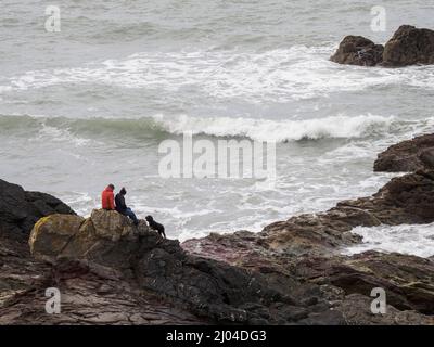 Couple avec chien assis sur des rochers au bord de la mer, Polzeath, Cornwall, Royaume-Uni Banque D'Images