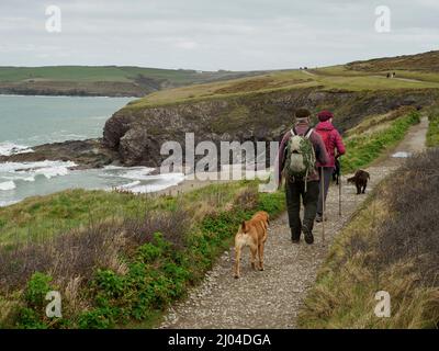 Couple d'âge mûr marchant le long du sentier de la côte sud-ouest de Daymer Bay à Polzeath, Cornwall, Royaume-Uni Banque D'Images