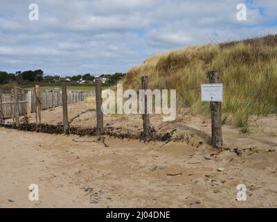 12th projet de restauration des dunes par le St. Enodoc Golf Club, Daymer Beach, Cornwall, Royaume-Uni Banque D'Images
