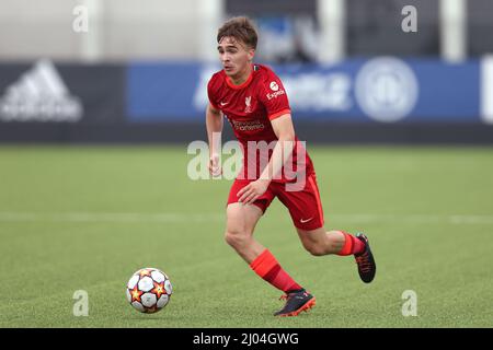 Vinovo, Italie, 15th mars 2022. James Norris de Liverpool lors du match de la Ligue des jeunes de l'UEFA au Centre Juventus de Vinovo. Crédit photo à lire: Jonathan Moscrop / Sportimage crédit: Sportimage / Alay Live News Banque D'Images