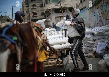 Un vendeur palestinien charge des sacs de farine sur un chariot devant le centre de distribution d'aide alimentaire de l'UNRWA à l'ouest de Gaza. La pénurie de denrées de base a entraîné une hausse de son prix dans la bande de Gaza. La région est fortement tributaire de l'approvisionnement en blé de l'Ukraine et de la Russie qui sont maintenant en guerre. Banque D'Images