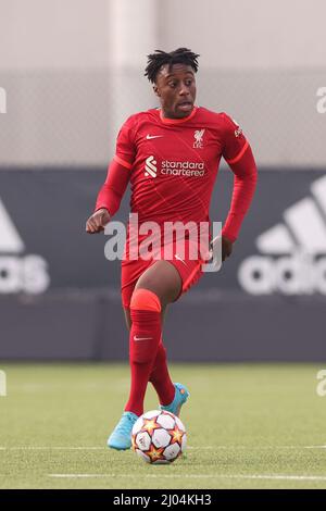 Vinovo, Italie, 15th mars 2022. Isaac Mabaya de Liverpool lors du match de la Ligue de la Jeunesse de l'UEFA au Centre Juventus de Vinovo. Crédit photo à lire: Jonathan Moscrop / Sportimage crédit: Sportimage / Alay Live News Banque D'Images