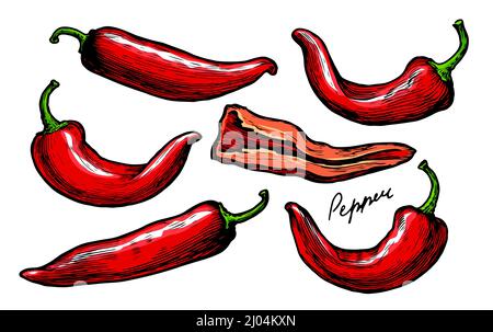 Poivrons rouges à tiges vertes. Illustration vectorielle d'épices alimentaires, de légumes Illustration de Vecteur