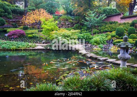 Vue idyllique sur l'étang avec des carpes coi dans le jardin japonais à Kaiseslautern - magnifique automne! Lanterne en pierre et pierres plates comme chemin pour marcher Banque D'Images