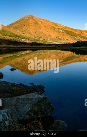 Reflet du mont Turku dans le réservoir du lac Nesamovyto, du lac Nesamovyte et du mont Turkul, paysages d'automne des Carpates, matin dans le Banque D'Images