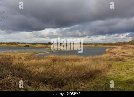 North Cave Wetlands dans le Yorkshire de l'est, une importante réserve naturelle pour de nombreuses espèces d'oiseaux et de mammifères. Une journée froide en hiver avec les lacs du ciel orageux, Banque D'Images