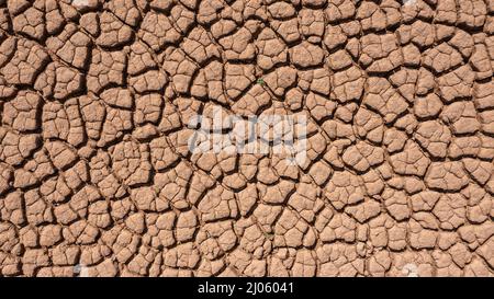 Étés secs et chauds, sol craqué, sol sur terrain avec quelques petites plantes vertes. Texture de la terre pendant la sécheresse. Vue du dessus. Banque D'Images