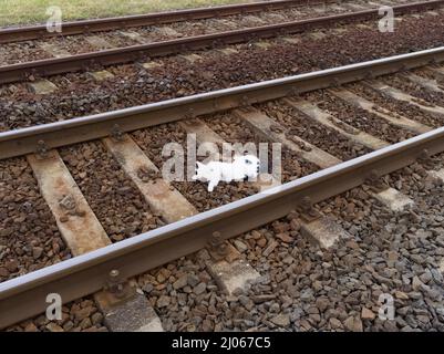 White Dead Cat sur les voies ferrées en train Banque D'Images