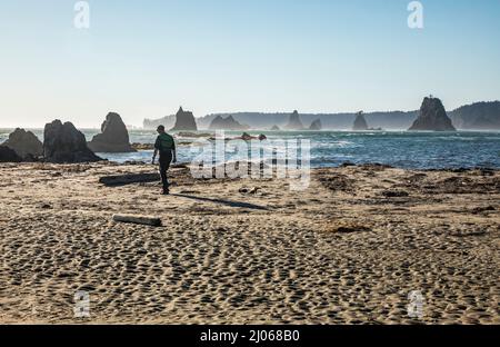 Un homme marche sur la plage à Toleak point en regardant vers le nord - la côte olympique de Washington et le sanctuaire marin. Banque D'Images