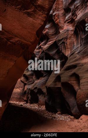 Texture érodée de rippement du mur de grès recouvert de vernis du désert dans le sud de l'Utah Banque D'Images