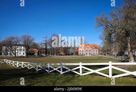 Panker, Allemagne. 11th mars 2022. Divers bâtiments peuvent être vus sur le domaine Gut Panker de la Fondation Hessian House. Pour maintenir les grands domaines dans le Schleswig-Holstein, des entreprises fortes sont nécessaires. Là où l'agriculture et la foresterie ne suffisent pas, les seigneurs et les dames du manoir comptent sur les marchés et les événements de Noël. (À dpa-Korr 'vacances sur la ferme vraiment grande: Le tourisme de domaine dans le nord') crédit: Christian Charisius/dpa/Alay Live News Banque D'Images