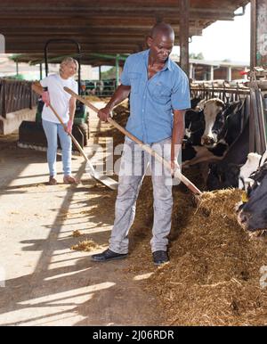 Portrait de deux employés actifs travaillant dans étable on farm Banque D'Images